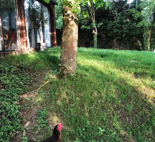Majatalo Chez Blandine   Jolie Chambre Et Mezzanine Aménagée Proche Utt Infrastructures Sportives