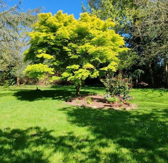 بنسيون La Suite D Anna