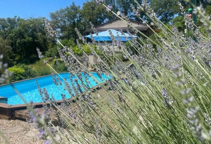 ペンション Le Petit Roquet