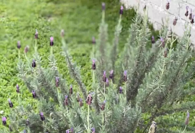 ペンション Monet Guesthouse