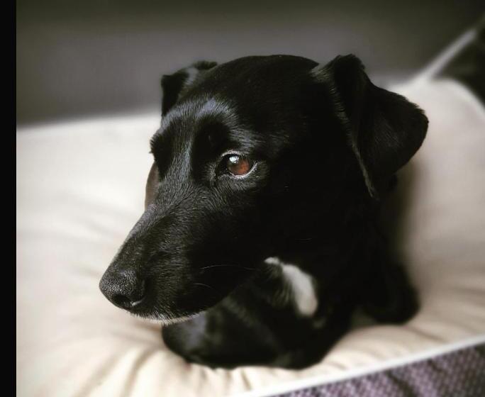 تختخواب و صبحانه Chambre Cosy Avec Sdb Privative