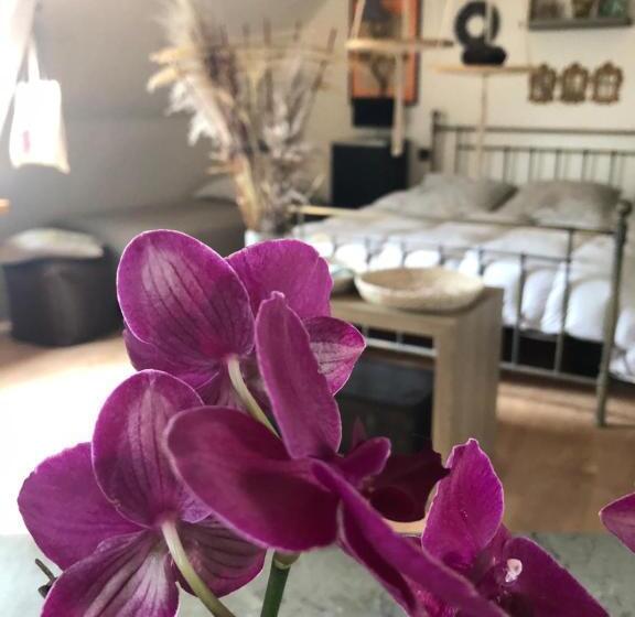 مبيت وإفطار La Thibautière