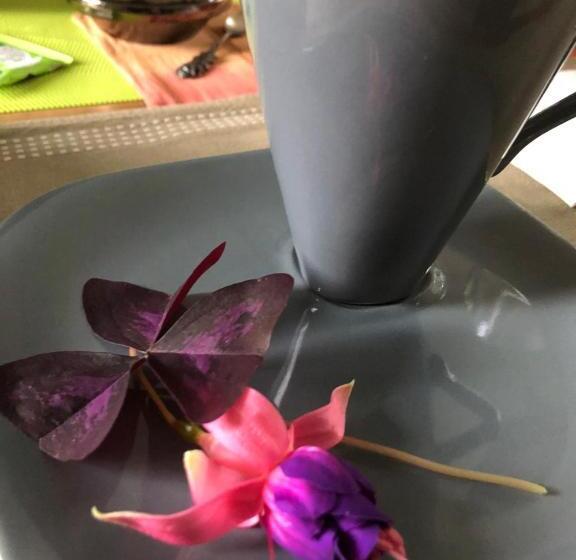 مبيت وإفطار La Thibautière