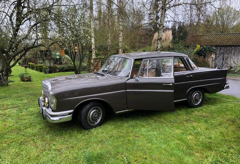 مبيت وإفطار La Thibautière