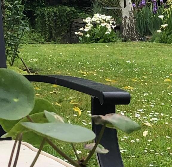 مبيت وإفطار La Thibautière