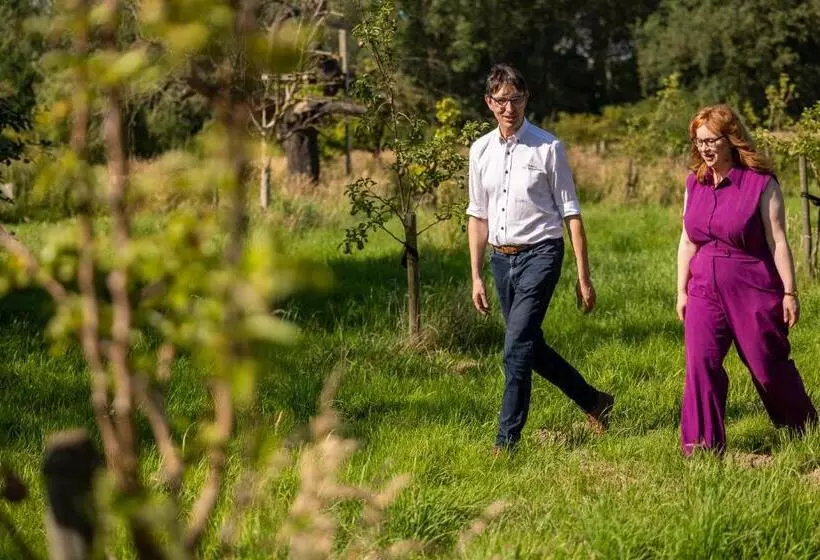 تختخواب و صبحانه Destoker