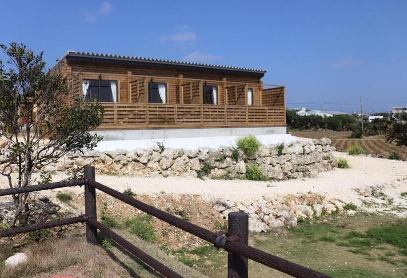 酒店 ログインタラソ