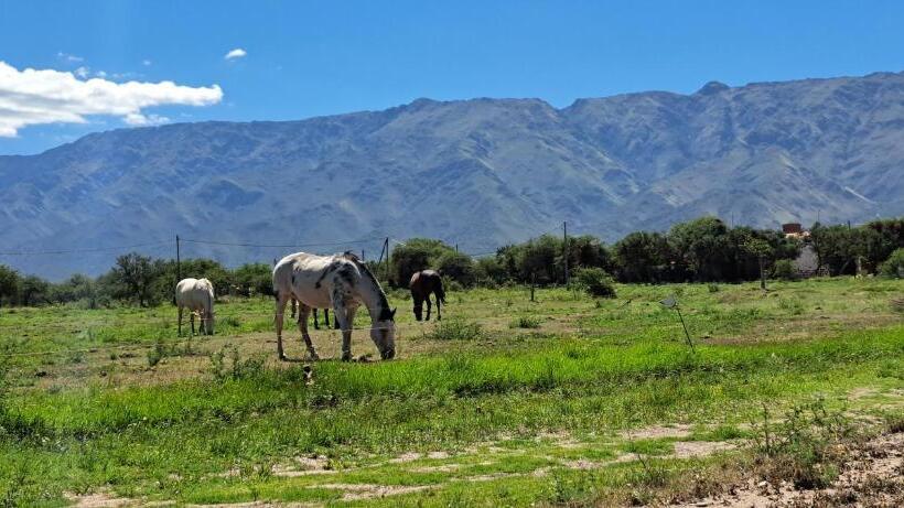 هتل Ayres Del Golf Posada Restó