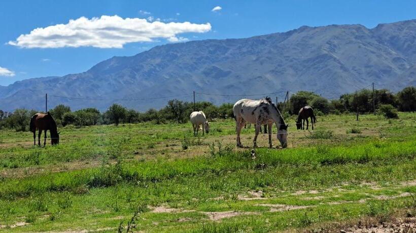 هتل Ayres Del Golf Posada Restó