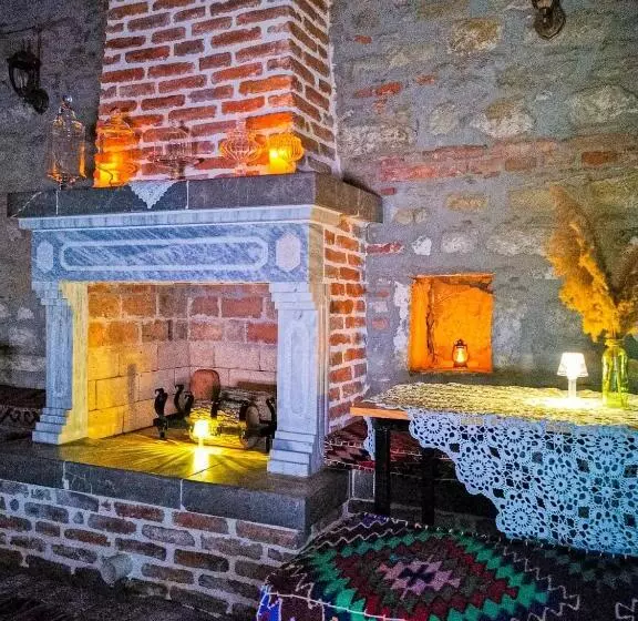 هتل Domus
