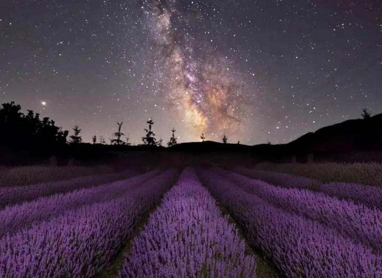 호텔 Rifugio La Principessa