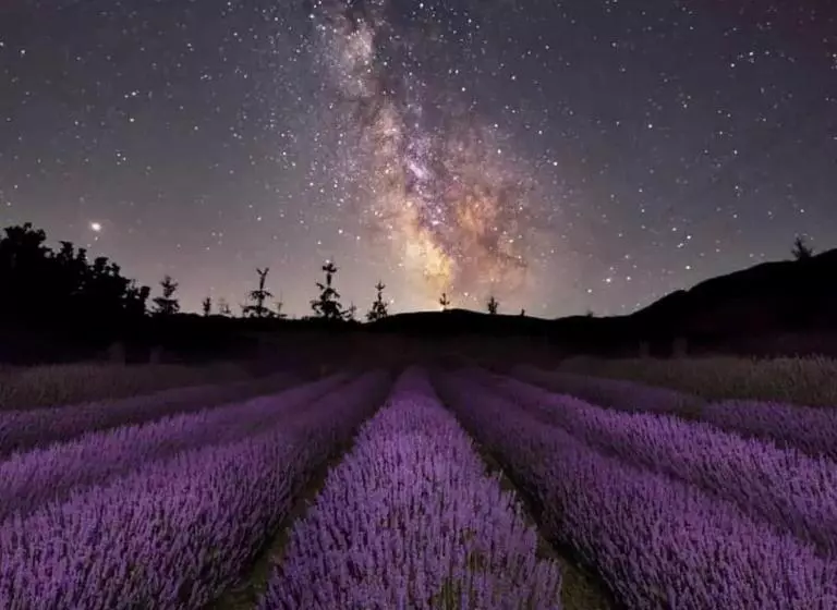 Hotelli Rifugio La Principessa