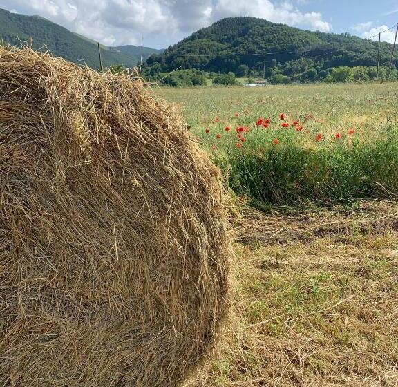 호텔 Rifugio La Principessa