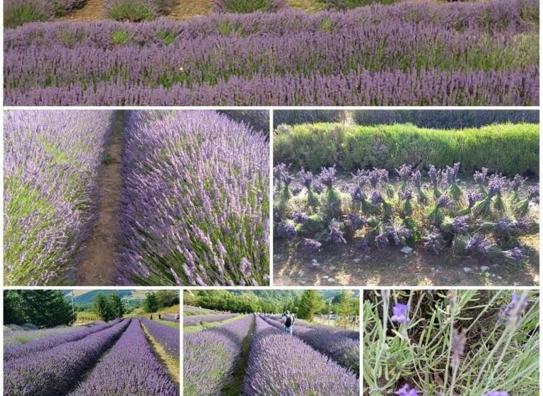 호텔 Rifugio La Principessa