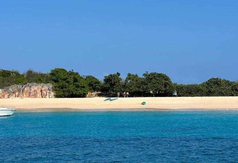 پانسیون Room In Boat Undefined