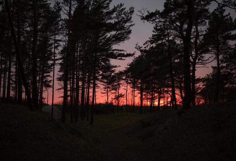 پانسیون Draugų Namai