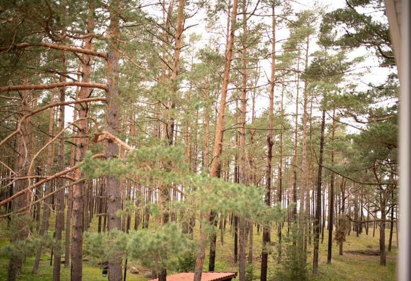 پانسیون Draugų Namai