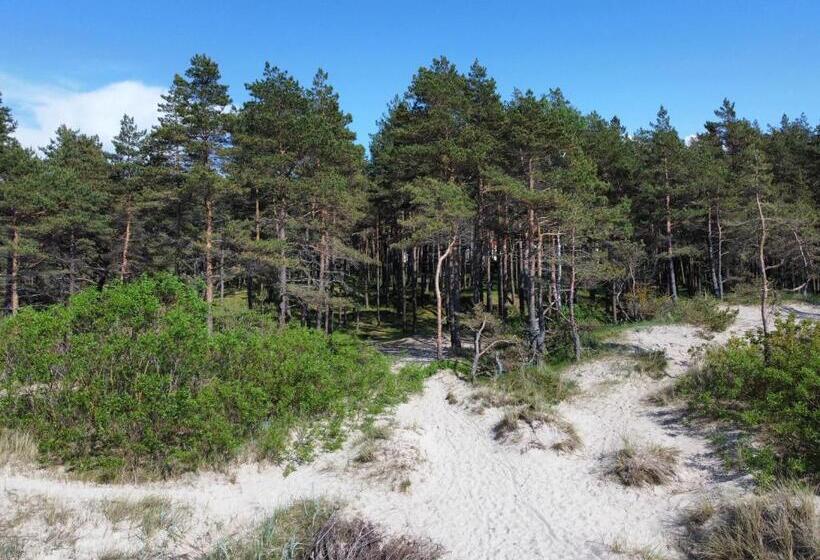 پانسیون Draugų Namai