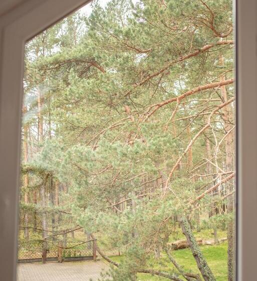 پانسیون Draugų Namai