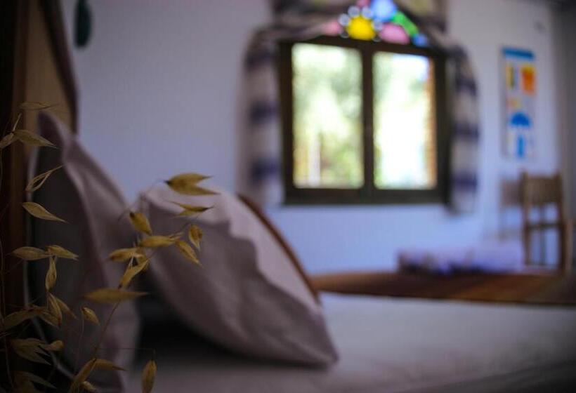 پانسیون Haven Hills Social Club