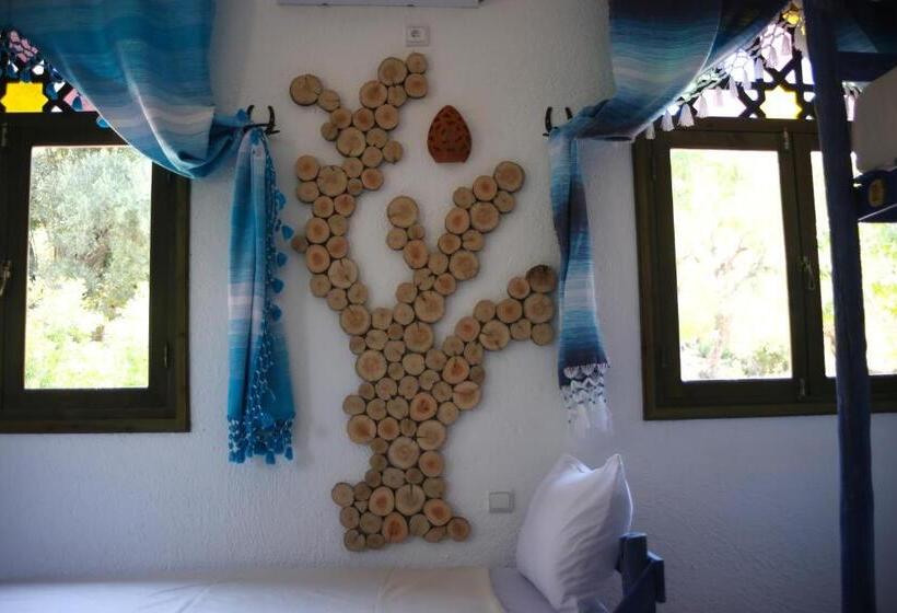 پانسیون Haven Hills Social Club