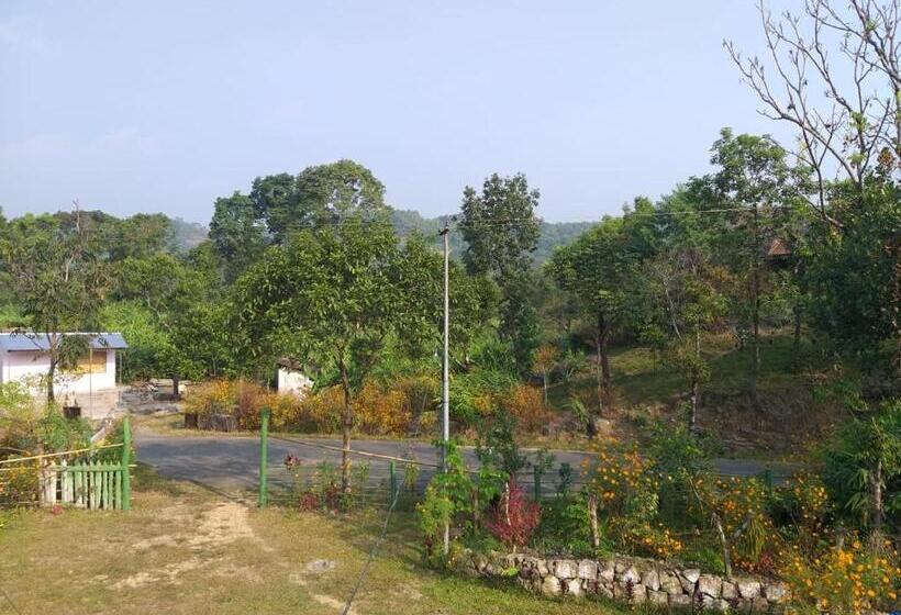 پانسیون Rb Guest House