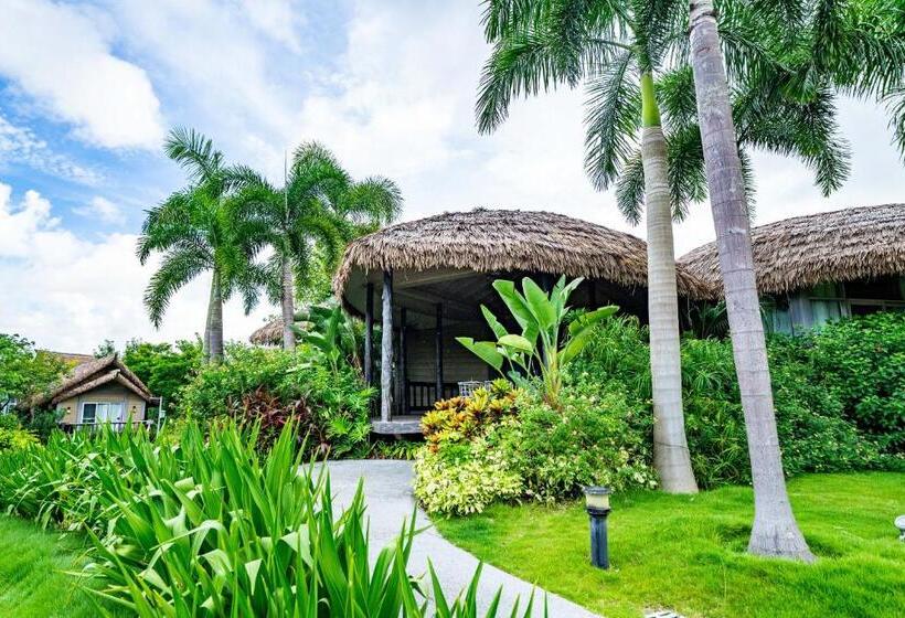 استراحتگاه 珠海横琴星乐度露营小镇