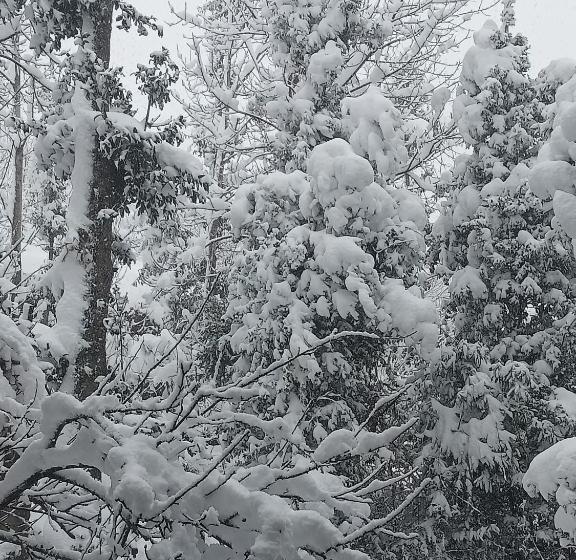 Hotel Himalayas By The Lake Hill
