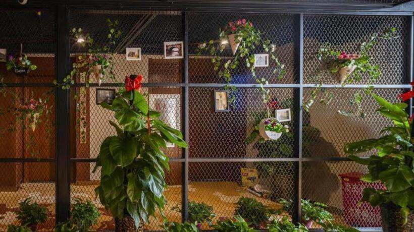 Otel James Joyce Coffetel Tianjing First Central Hospital Nankai University