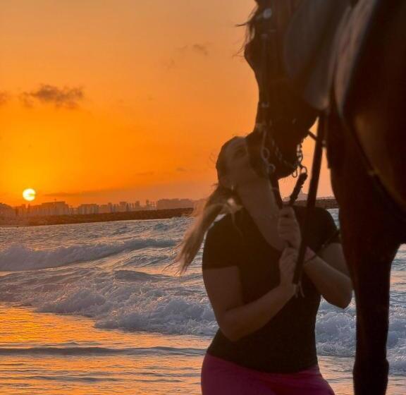 هتل Kite Cabins Elalamein At Safy Bay