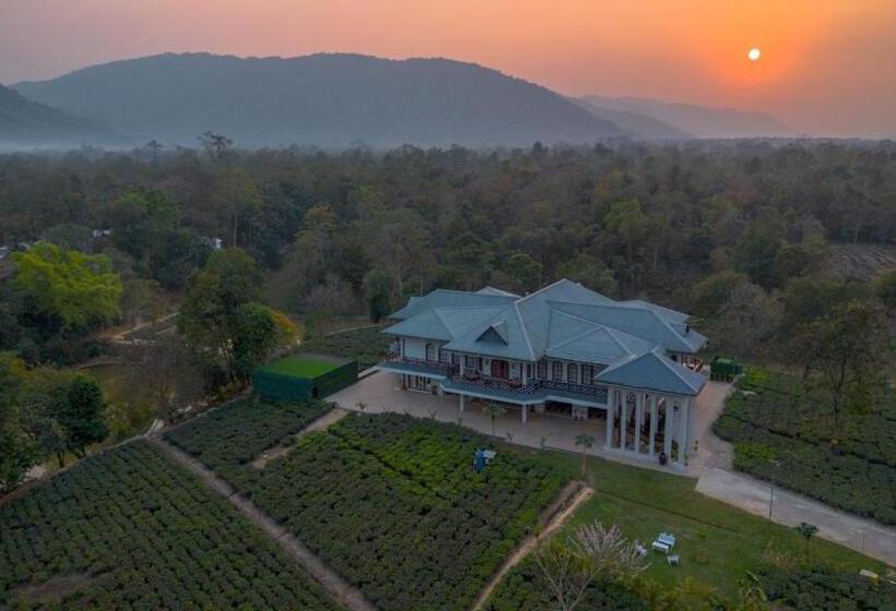 Vaani Greens Resort, Kaziranga