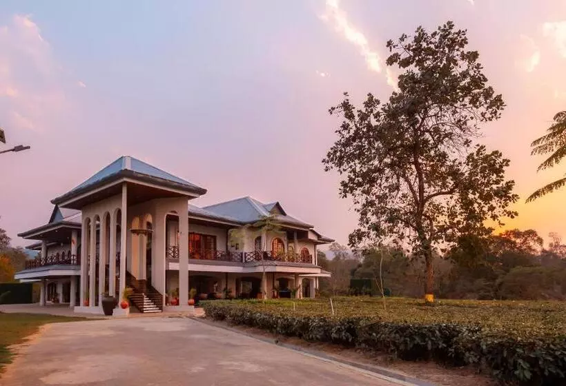 Vaani Greens Resort, Kaziranga