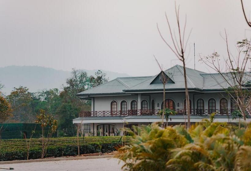 Vaani Greens Resort, Kaziranga