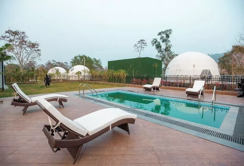 Vaani Greens Resort, Kaziranga