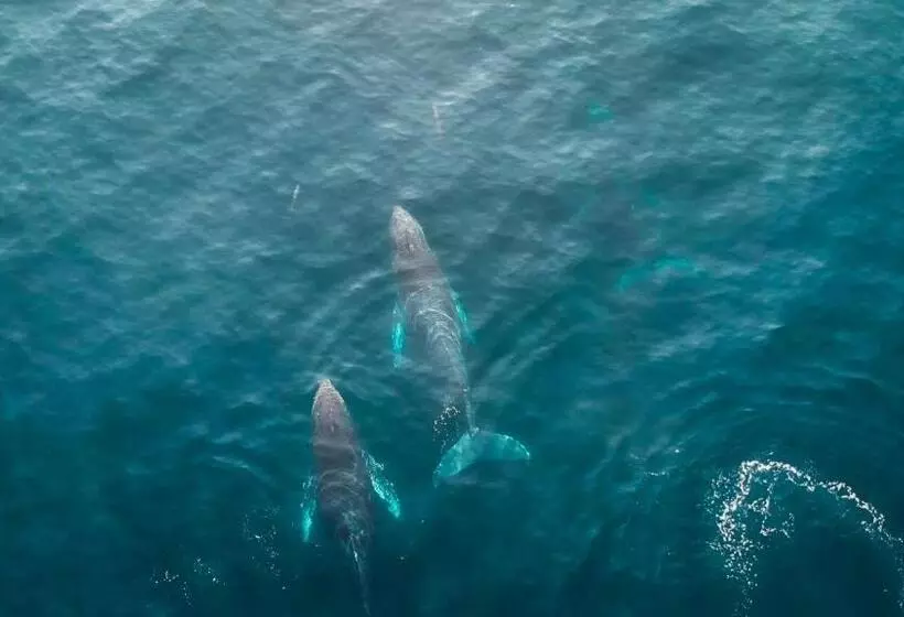 La Alberca Hotel Boutique