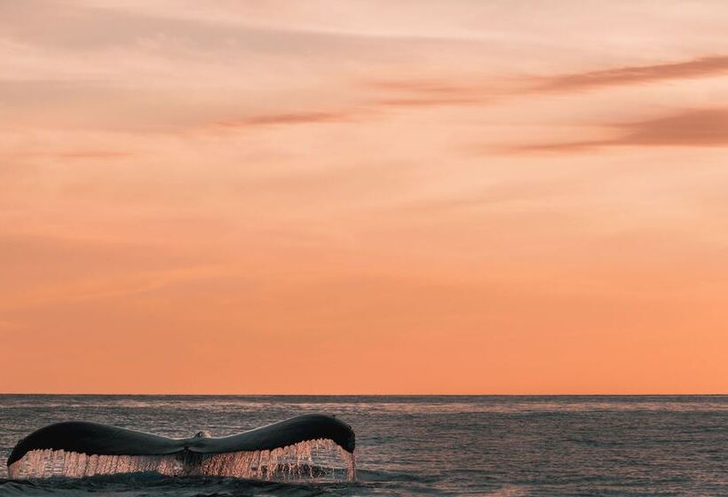 La Alberca Hotel Boutique