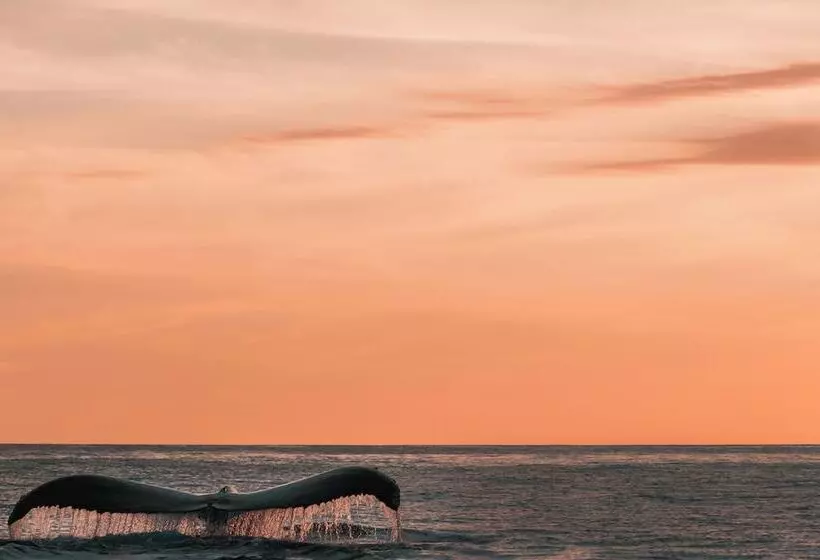 La Alberca Hotel Boutique