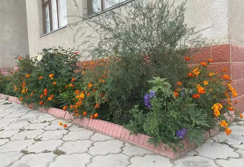 پانسیون Jaku Guest House