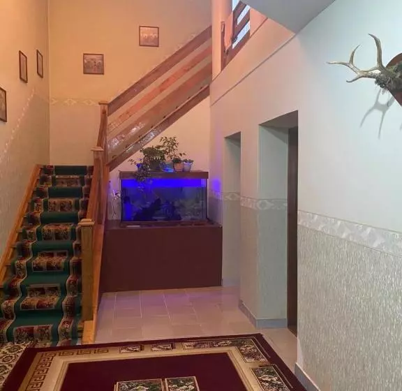 پانسیون Jaku Guest House