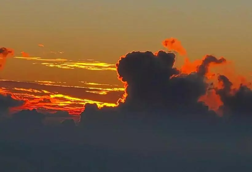 Majatalo Kope Hale Farm Private Guest Studio For Coffee Lovers