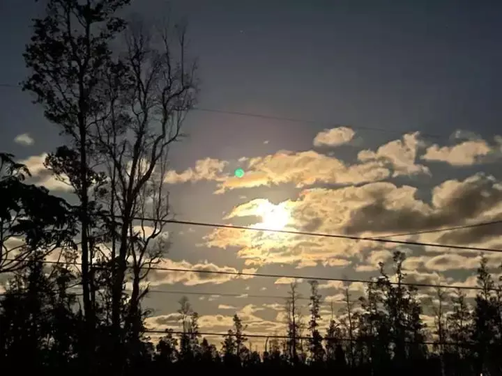 Majatalo Kope Hale Farm Private Guest Studio For Coffee Lovers