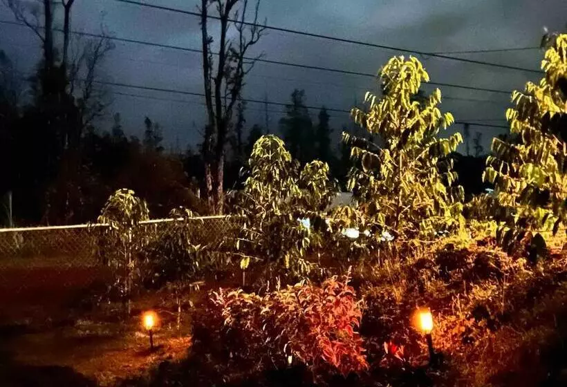 Majatalo Kope Hale Farm Private Guest Studio For Coffee Lovers