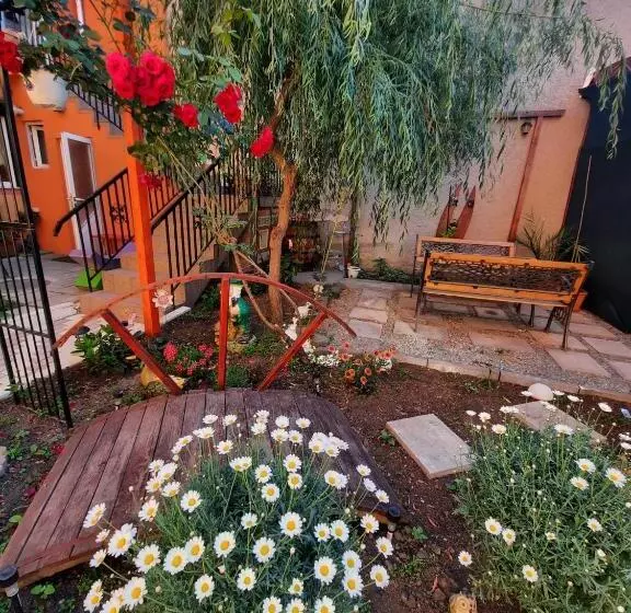 Pensió Apartament 3 Papuci