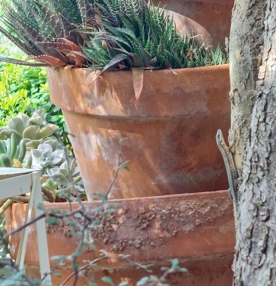 פנסיון Bnb La Corte