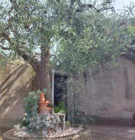 ペンション Bnb La Corte
