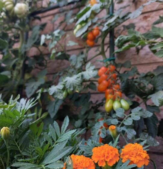 פנסיון Bnb La Corte