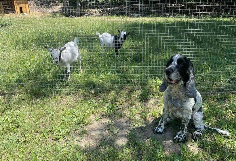 膳宿费 Domaine De La Chocolaterie