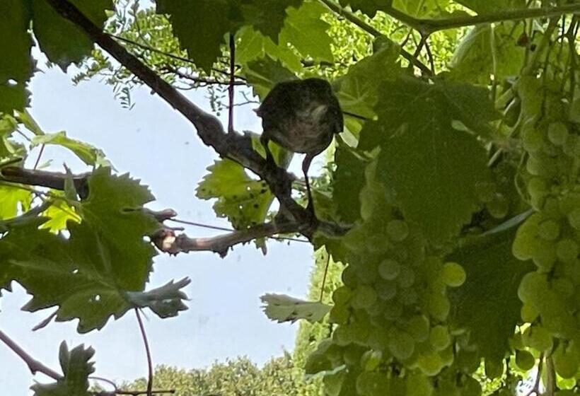 펜션 Domaine De La Chocolaterie