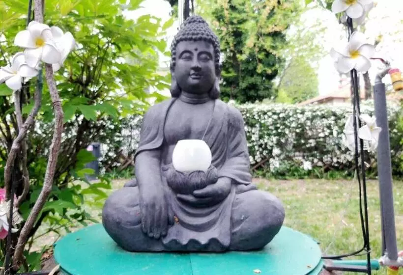 پانسیون Newmidi Studio Terrace, Wifi