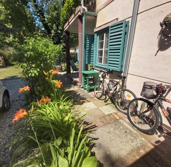 Pensionat Newmidi Studio Terrace, Wifi